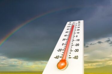 App "Termómetro de Temperatura Ambiente" - Medición Precisa