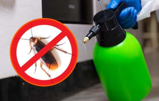 eliminar 100% das baratas de casa