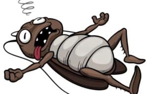 저렴하게 제거하세요