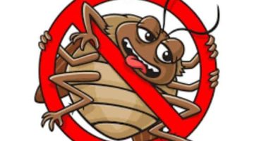 সস্তা নির্মূল